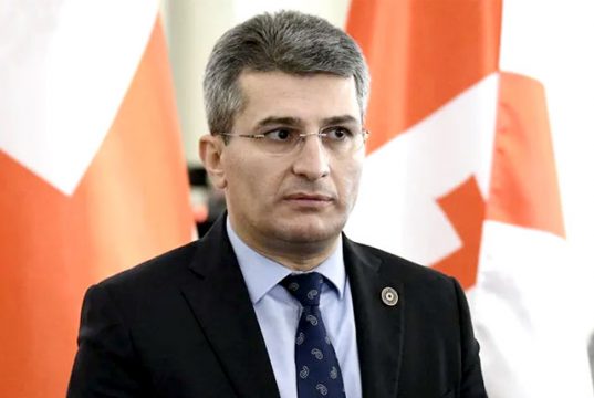 Мамука Мдинарадзе: Самая большая ошибка в том, что как будто уход или не уход из политики как-то связан с судимостью осужденного, подобные представления существовали до 2012 года Мамука Мдинарадзе