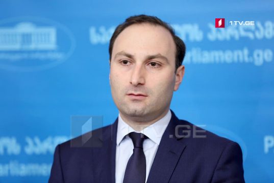 Анри Оханашвили: Нам нужно знать, запрос ISFED о техническом правительстве все еще в силе, или оно будет участвовать в рабочих группах как неправительственная организация, лишенная политических интересов Анри Оханашвили