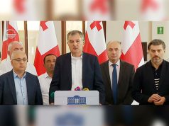 «Сила народа»: Посольство не может приспособиться к суверенному правительству Грузии, которое не толкает страну к войне. Она сделает все, чтобы свергнуть такое правительство и пойдет на более крайние меры, чем фальсификация параллельного подсчета голосов Сила народа
