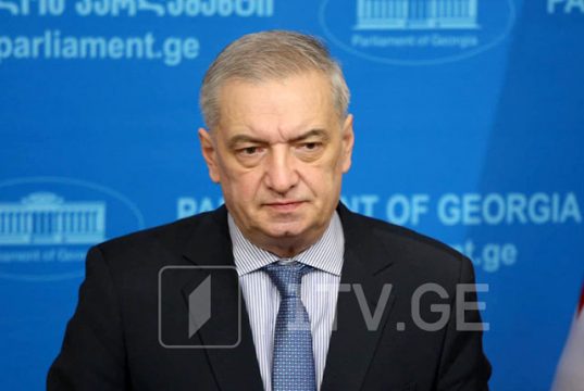Гия Вольский: Не стоит ожидать, что включение ISFED в рабочую группу принесет что-то ценное и позитивное Гия Вольский