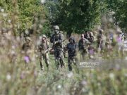 В Донецкую область переброшена американская ЧВК «The Mozart Group»