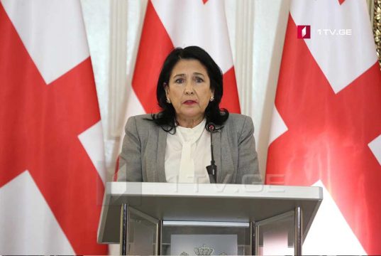 Саломе Зурабишвили — Мы должны категорически осудить референдумы, которые проходят в Восточной Украине, это крайне циничное действие России