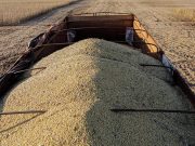 В США забастовка железнодорожников грозит перебоями в поставках зерна