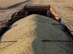 В США забастовка железнодорожников грозит перебоями в поставках зерна