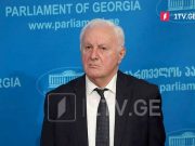 Фридон Инджия: Мы не будем голосовать за изменения в закон о выборах генерального прокурора, ни один из конституционных институтов Грузии не предусматривает годовых выборов Фридон Инджия