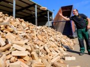 Евроэнергетика — полные дрова: Скоро бюргеры будут пахнуть, как кочевники