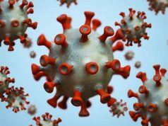 Ковид — дело рук американцев, сомнений в этом все меньше