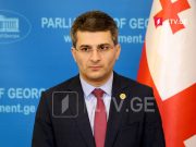 Мамука Мдинарадзе: Символично, что в тот же день, когда были внесены поправки в резолюцию о Саакашвили, была принята резолюция в поддержку Украины, которую поддержала Грузия Мамука Мдинарадзе