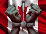 ХРОНИКИ «ДИВНОГО МИРА»: ЗАПАД НАЧИНАЕТ «УТИЛИЗИРОВАТЬ БОЛЬНЫХ И БЕДНЫХ»