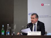 Вице-президент Парламентской ассамблеи НАТО — Мы приветствуем и поддерживаем стремление Грузии вступить в НАТО, это наша непоколебимая позиция