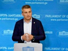 Мамука Мдинарадзе: Госпожа Джинн Шейхин месяцами не говорила ни слова о Грузии, ни плохого, ни хорошего, и это произошло только тогда, когда комиссар по вопросам европейского расширения сделал очень позитивные заявления Мамука Мдинарадзе