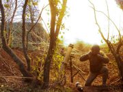 В Европе начали догадываться об устроенной США и Украиной ловушке