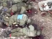 Киевский режим показал свою звериную сущность