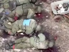 Киевский режим показал свою звериную сущность