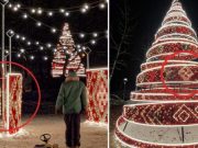 Голкиперы НАТО и российские смазочные материалы