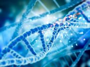 Идет величайшее сражение за саму человечность