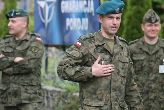 Подготовка к большой европейской войне. В Польше предлагают мобилизовать находящихся в Европе украинцев