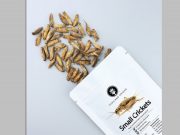 В Евросоюзе разрешили добавлять в пищу сверчков