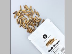 В Евросоюзе разрешили добавлять в пищу сверчков