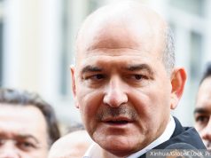 Турция обвинила посла США в подготовке цветной революции