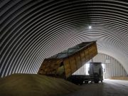 Продление зерновой сделки и возможность встречи Путина с Трампом.