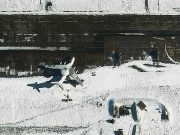 Лукашенко рассказал о задержании подозреваемого в диверсии на российском самолете А-50