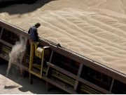 МИД заявил об отсутствии прогресса по российской части зерновой сделки