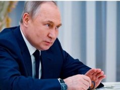 Владимир Путин ответил на вопросы журналистов по итогам саммита Россия — Африка