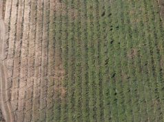 Глоток беды: в Испании началась битва за воду