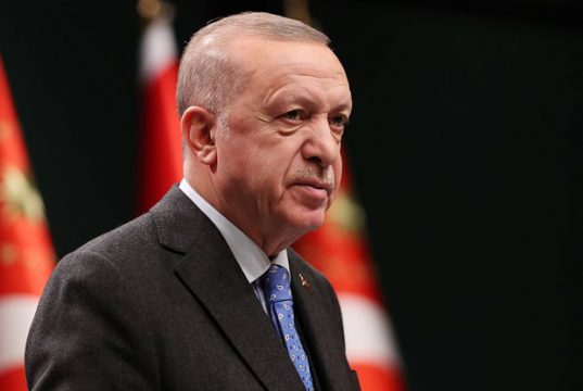 К турецкому президенту Реджепу Тайипу Эрдогану планируют приехать Владимир Путин и Владимир Зеленский