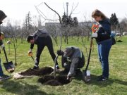 Трудовое воспитание российских школьников – каким оно будет?