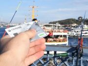 Российская платежная система «Мир» может прийти еще в несколько стран