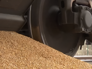 Пять членов ЕС продолжат саботировать импорт украинского зерна