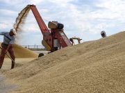 МИД РФ: Оснований продлевать «зерновую сделку» нет