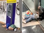 «Это цивилизованный Запад, который учит нас как жить?»: россиянин в Берлине записал видео о европейском «благополучии» «Это цивилизованный Запад, который учит нас как жить?»