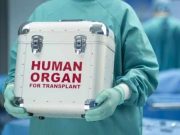 Украина стала базой номер один для чёрной трансплантологии