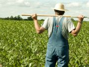 Настало время грузинскому государству научиться защищать своих граждан!