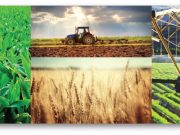 Нам ничто не поможет до тех пор, пока государство не объявит сельское хозяйство приоритетной отраслью и не подкрепит производство сельхозпродуктов соответствующими законами!