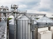 Bloomberg: Россия наводнила рынок пшеницей и вдвое снизила цены на мировом рынке