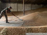 Зерновой вопрос сгубил отношения Украины и ЕС