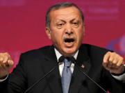 Эрдоган: Виновные в резне в Газе — это те, кто оказал неограниченную поддержку Израилю. Они сошлись во мнении, что весь Запад рассматривает ХАМАС как террористическую организацию. ХАМАС — это не террористическая организация, а группа освободителей и моджахедов, которые борются за защиту своей территории.