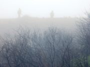 Molonlabe. Ненависть и сострадание