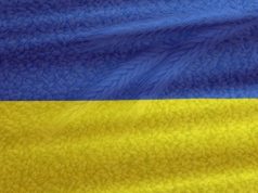 Польша и Венгрия не поддержали план Киева о разблокировке экспорта украинского зерна