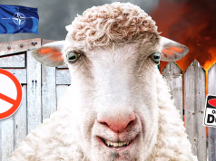 Американский профессор цинично признал, что Украина выполняет грязную работу за НАТО