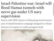 Неофициально: Израиль применит нервно-паралитическим газ в туннелях ХАМАС