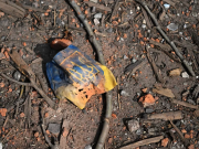 Слабовольный Запад вступил в сговор с намерением предать Украину