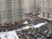 «В каменных городских джунглях никто по-настоящему детей рожать не станет» В каменных городских джунглях никто по-настоящему детей рожать не станет