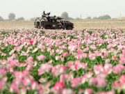 Демилитаризация Европы на марше Демилитаризация Европы на марше