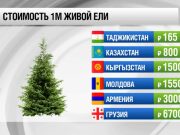 Сколько стоят новогодние елки в странах СНГ? Сколько стоят новогодние елки в странах СНГ?