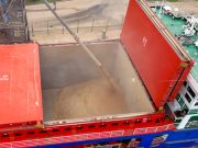 БРИКС готова стать самодостаточным рынком зерна БРИКС готова стать самодостаточным рынком зерна